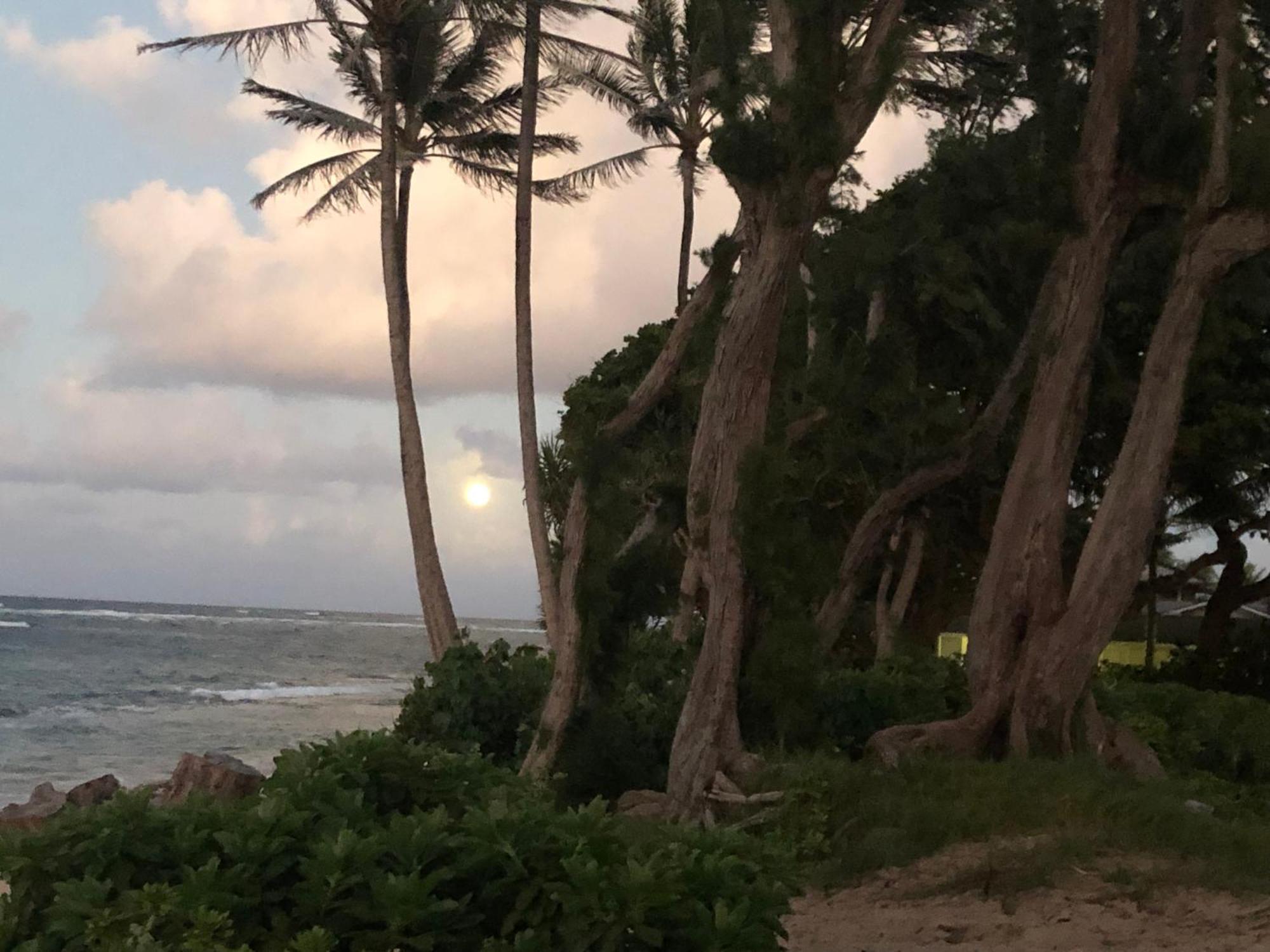 Tropical Treasure On A White Sandy Beach Vila Laie Exterior foto